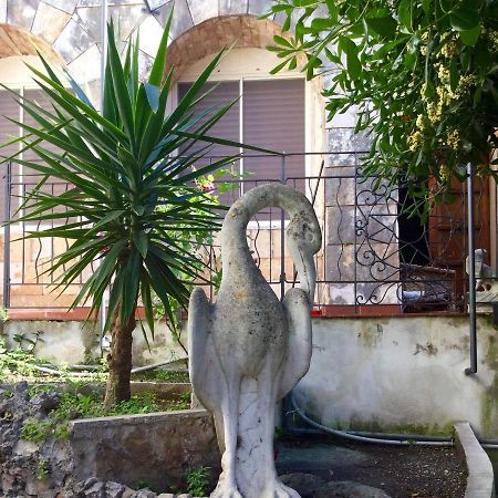 Villa Merina Vieste Exterior foto