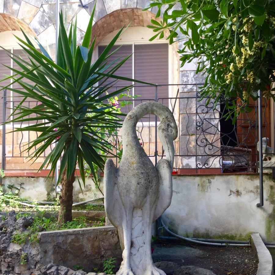 Villa Merina Vieste Exterior foto